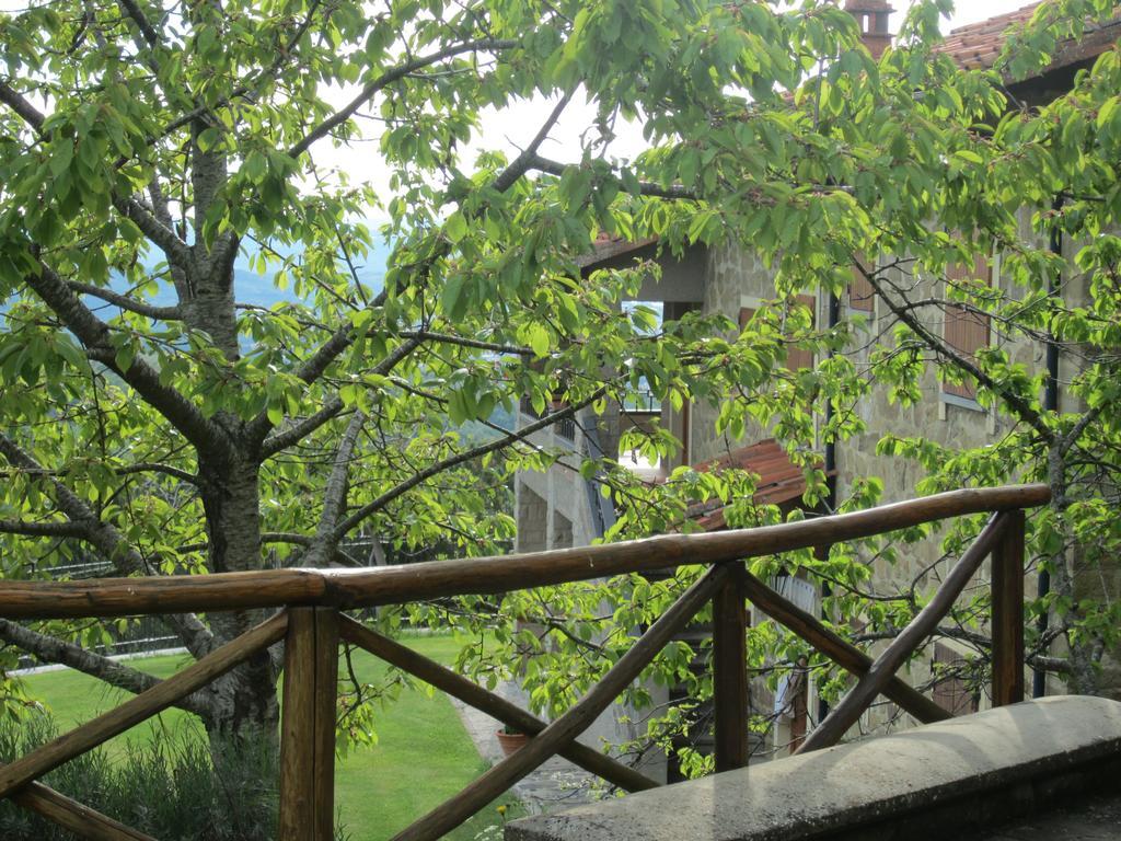 Bed And Breakfast Country Hill Arezzo Exterior photo