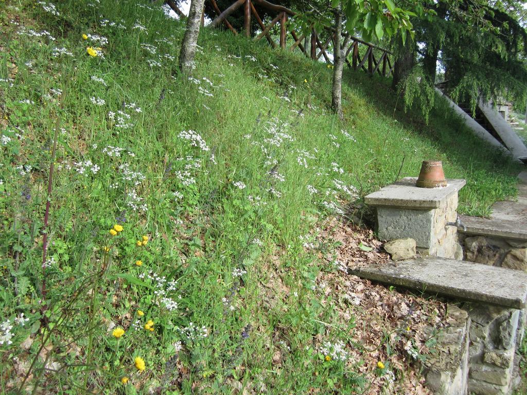Bed And Breakfast Country Hill Arezzo Exterior photo