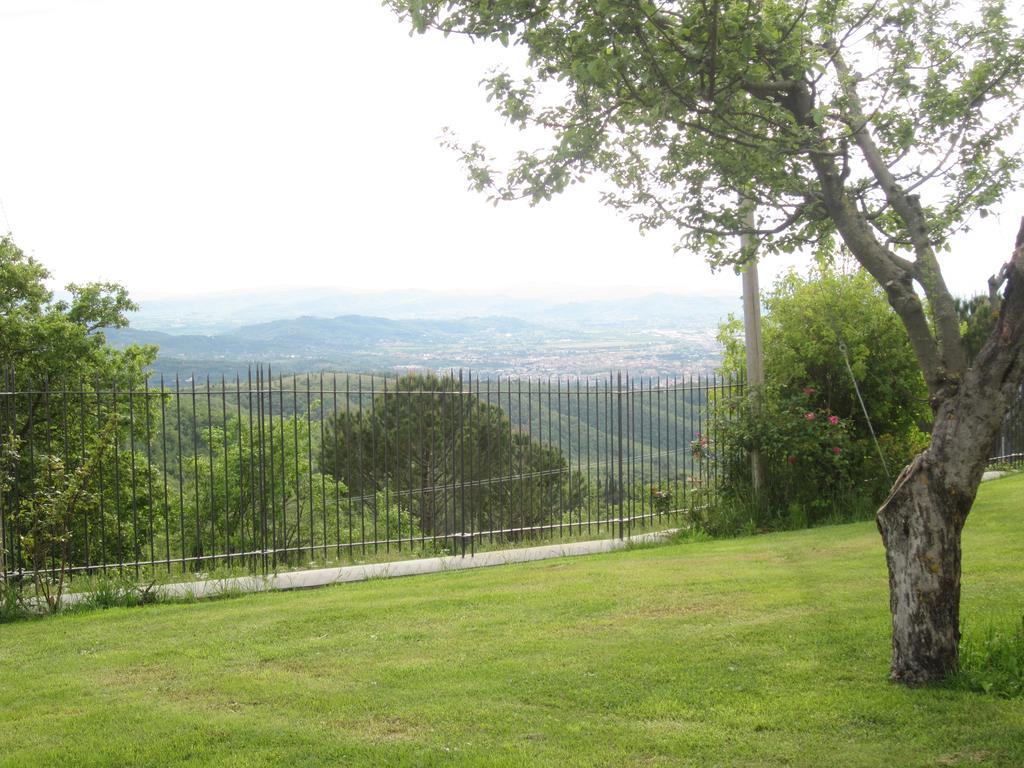 Bed And Breakfast Country Hill Arezzo Exterior photo