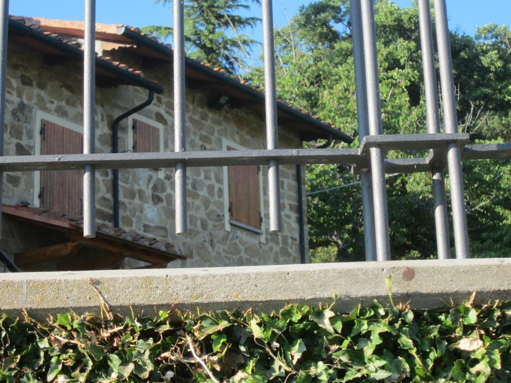 Bed And Breakfast Country Hill Arezzo Exterior photo